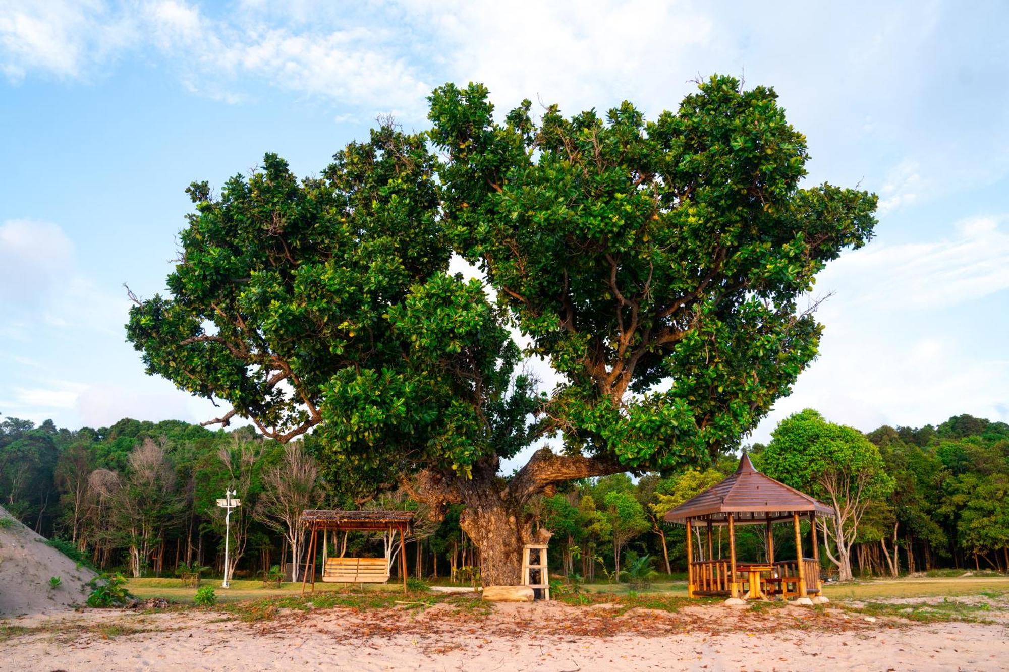 Kepri Coral Resort Galang Island Buitenkant foto